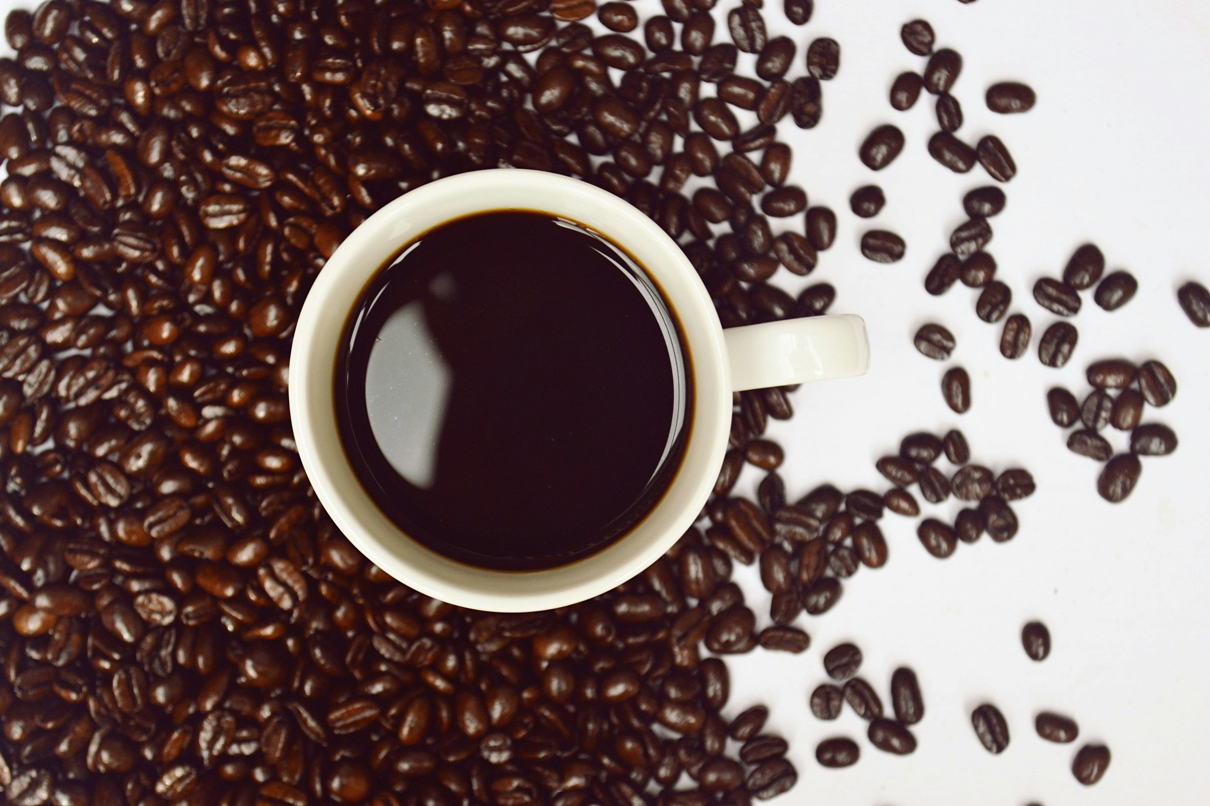 なぜ私たちは、あんなに苦いコーヒーに惹かれるのだろう?